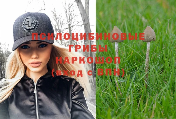 амф Вязники