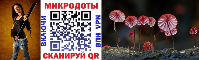 Купить закладки  Череповец  Псилоцибиновые грибы Psilocybine cubensis 